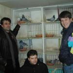 Peter, Karl Magnus and Svein Arne in front of some pigeons