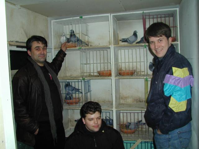 Peter, Karl Magnus and Svein Arne in front of some pigeons